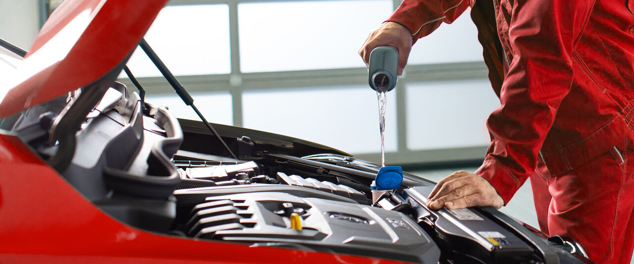 SEAT-economy-onderhoud