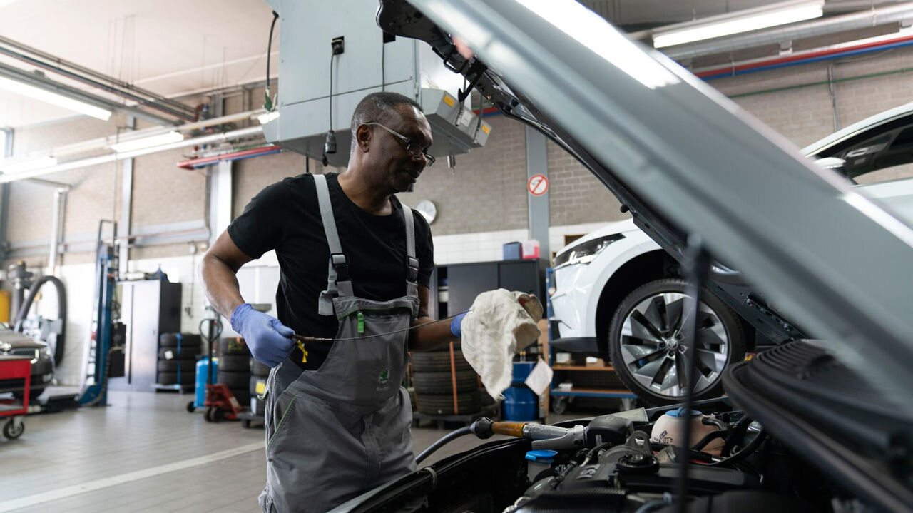 SKODA-Economy-Onderhoud