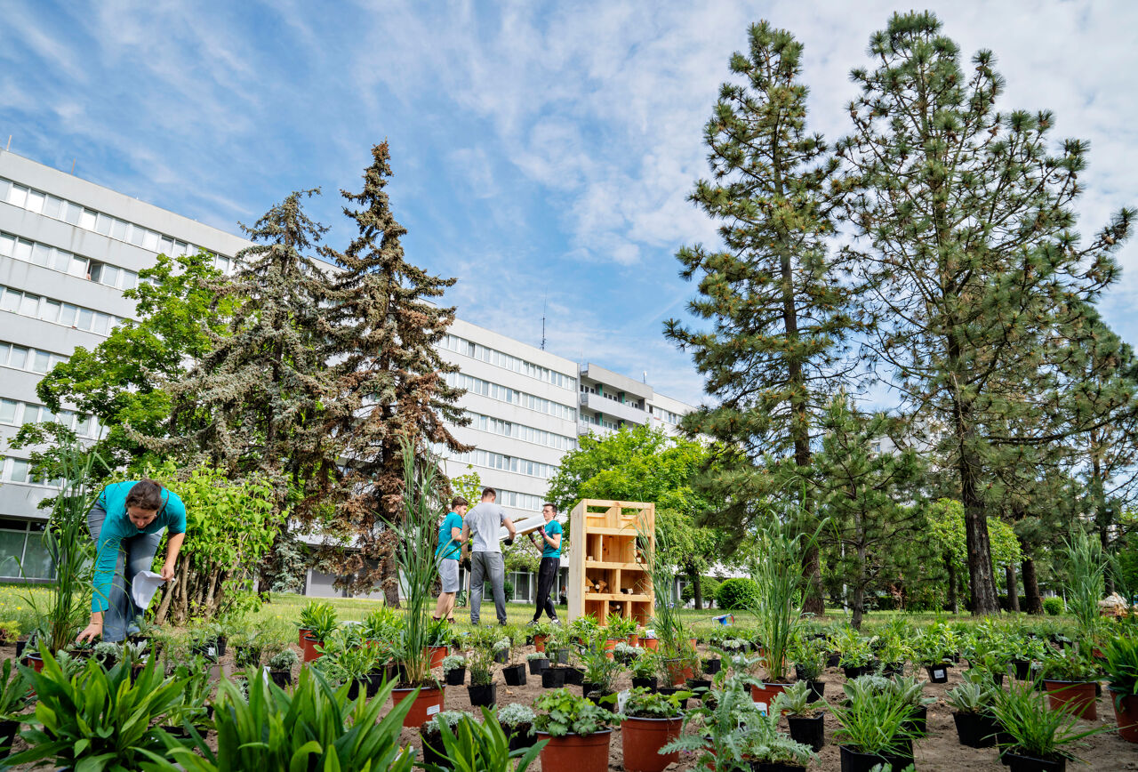 220525-biodiversity-1