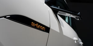 Audi e-tron laadaansluiting (1)