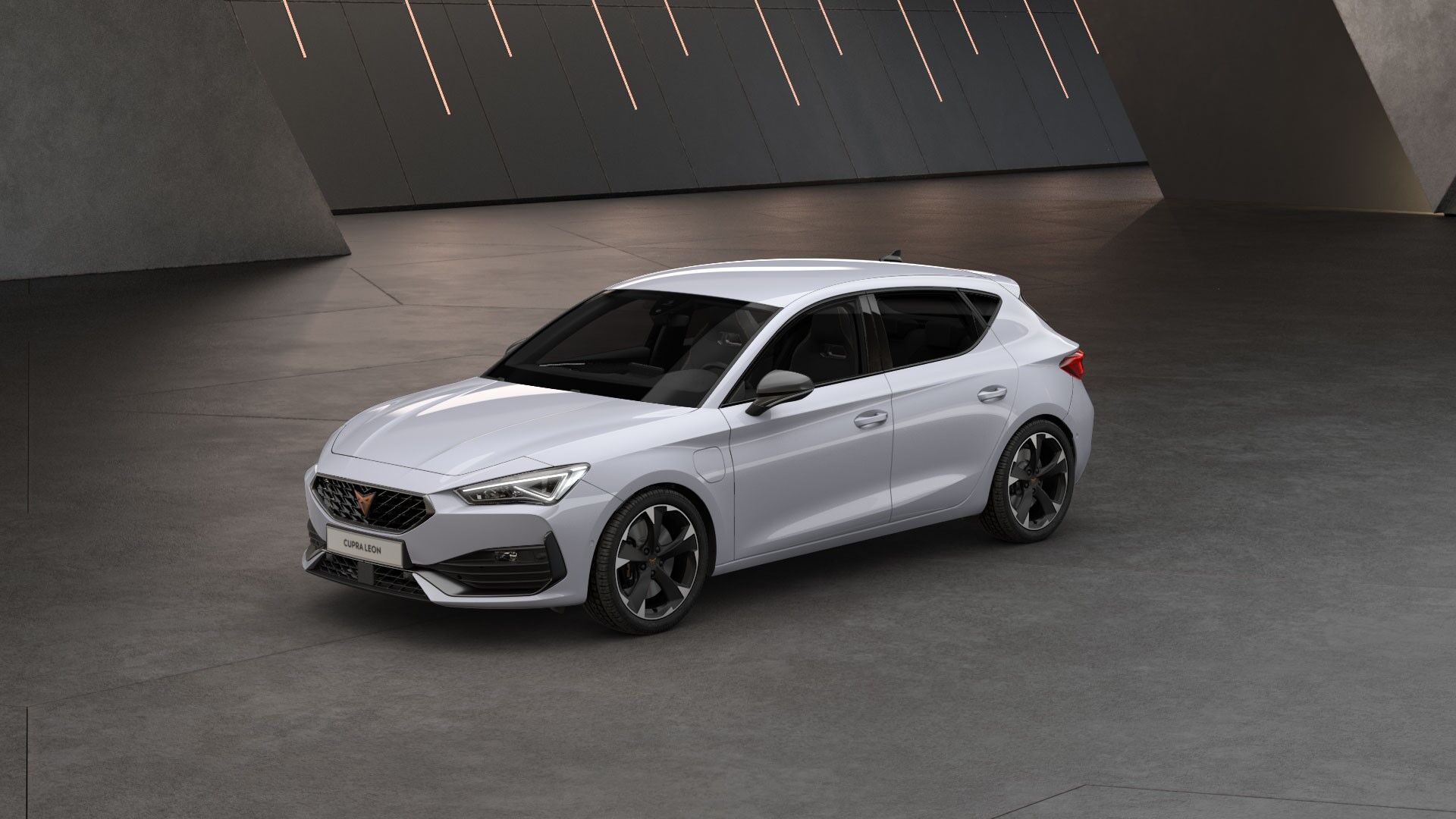 cupraleon-2