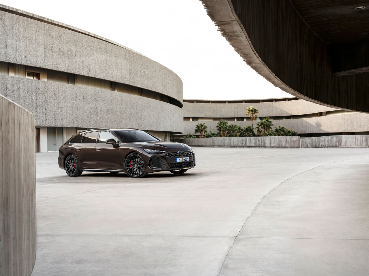 a6avantstijlicooninmadeirabruin