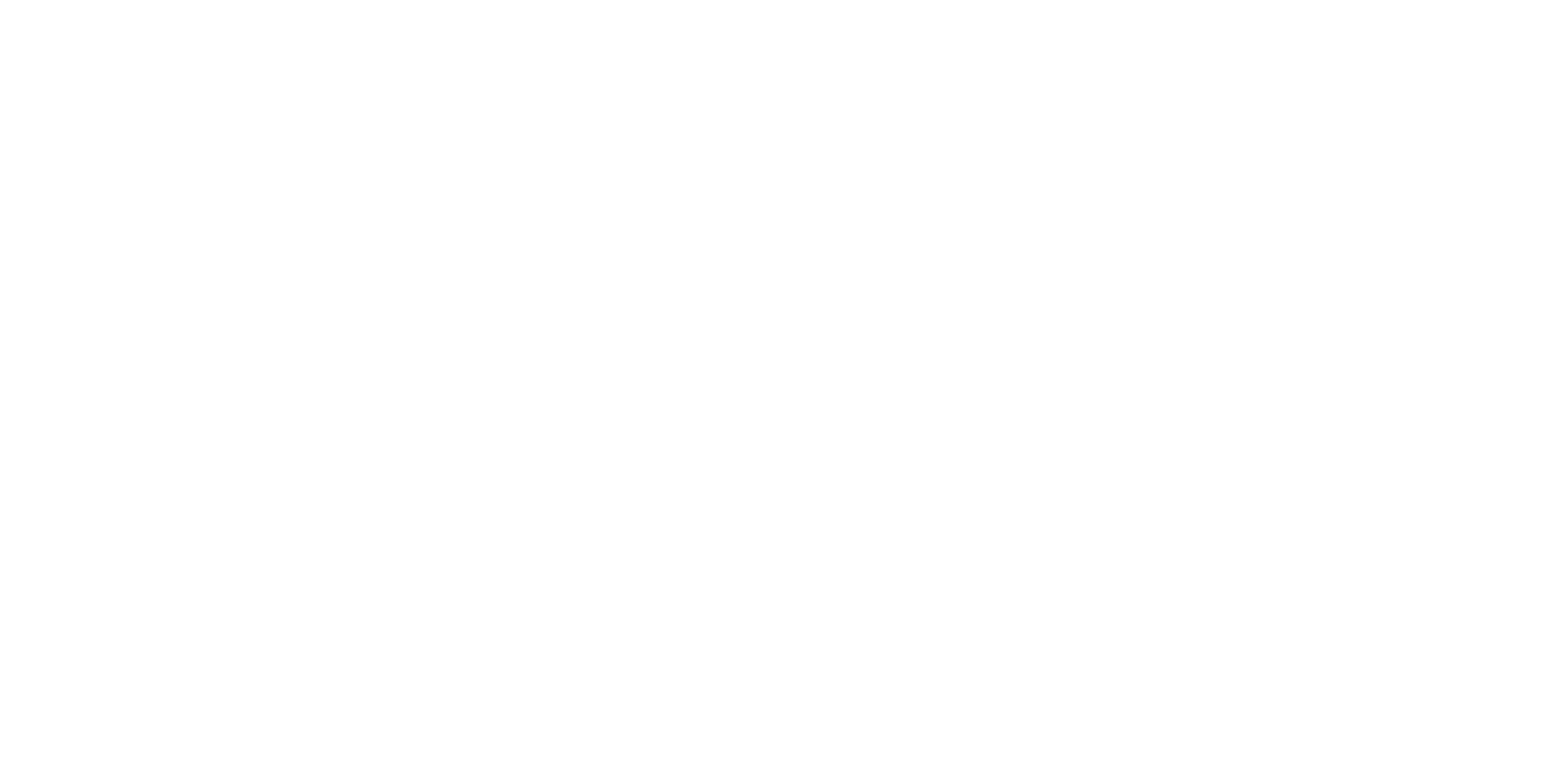 Skoda_woordmerk