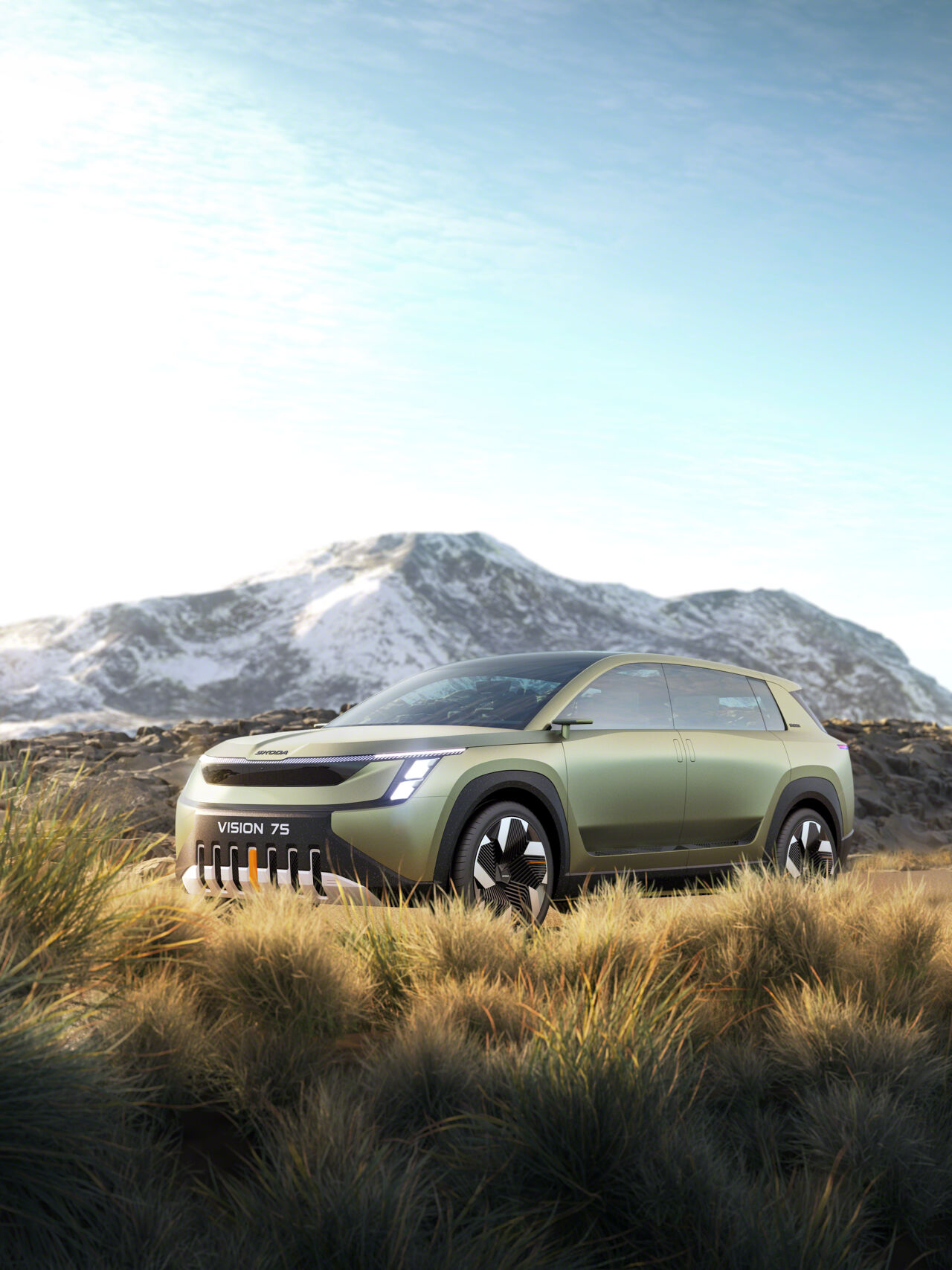 tundra-grass-29-02-confidential-ps08