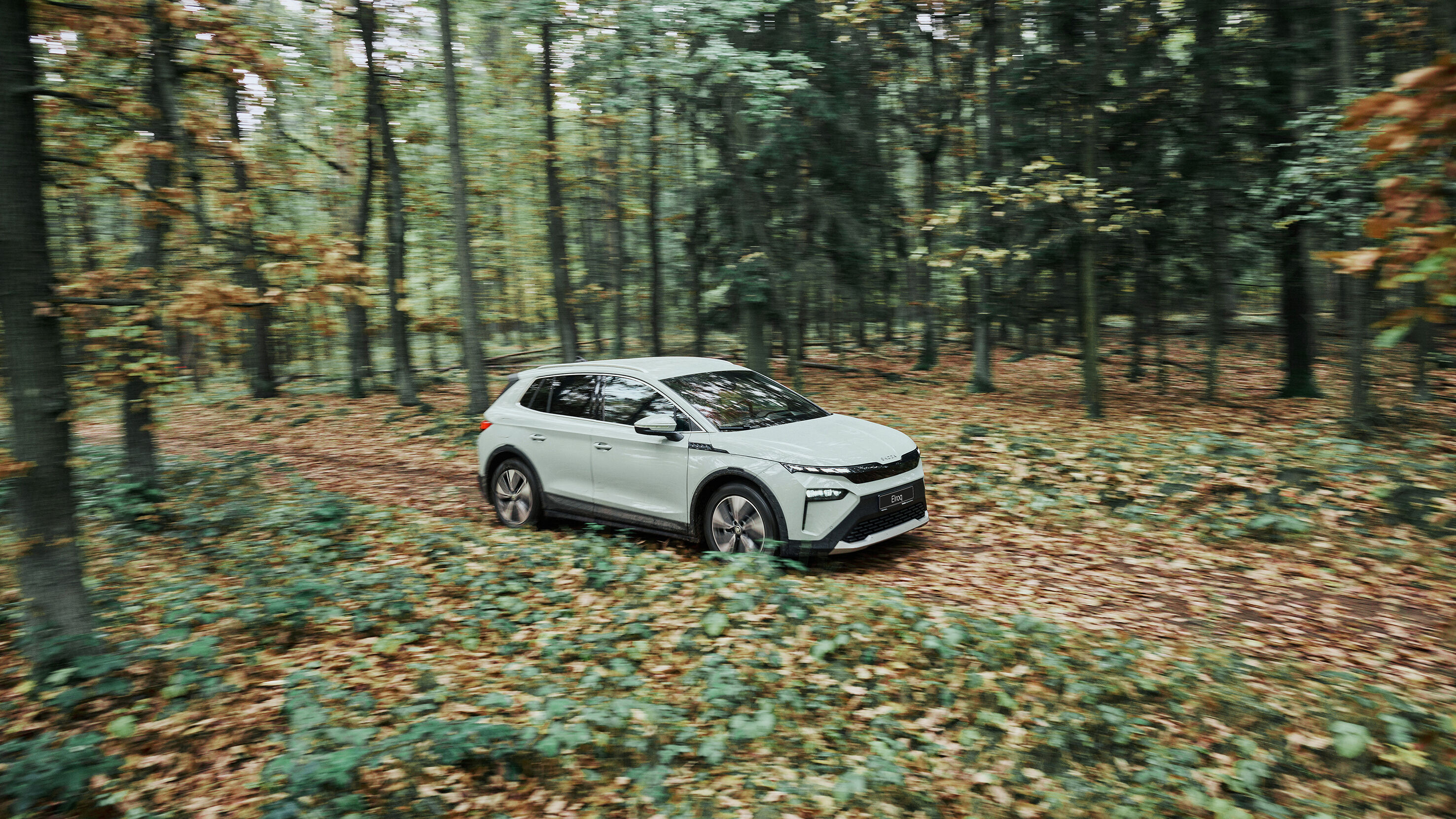 Škoda acties