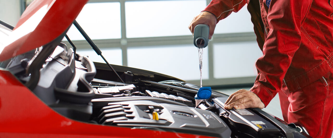 Volkswagen-Economy-Service-onderhoud