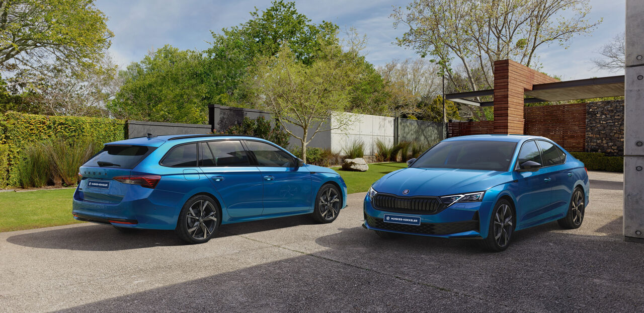 Skoda modelacties