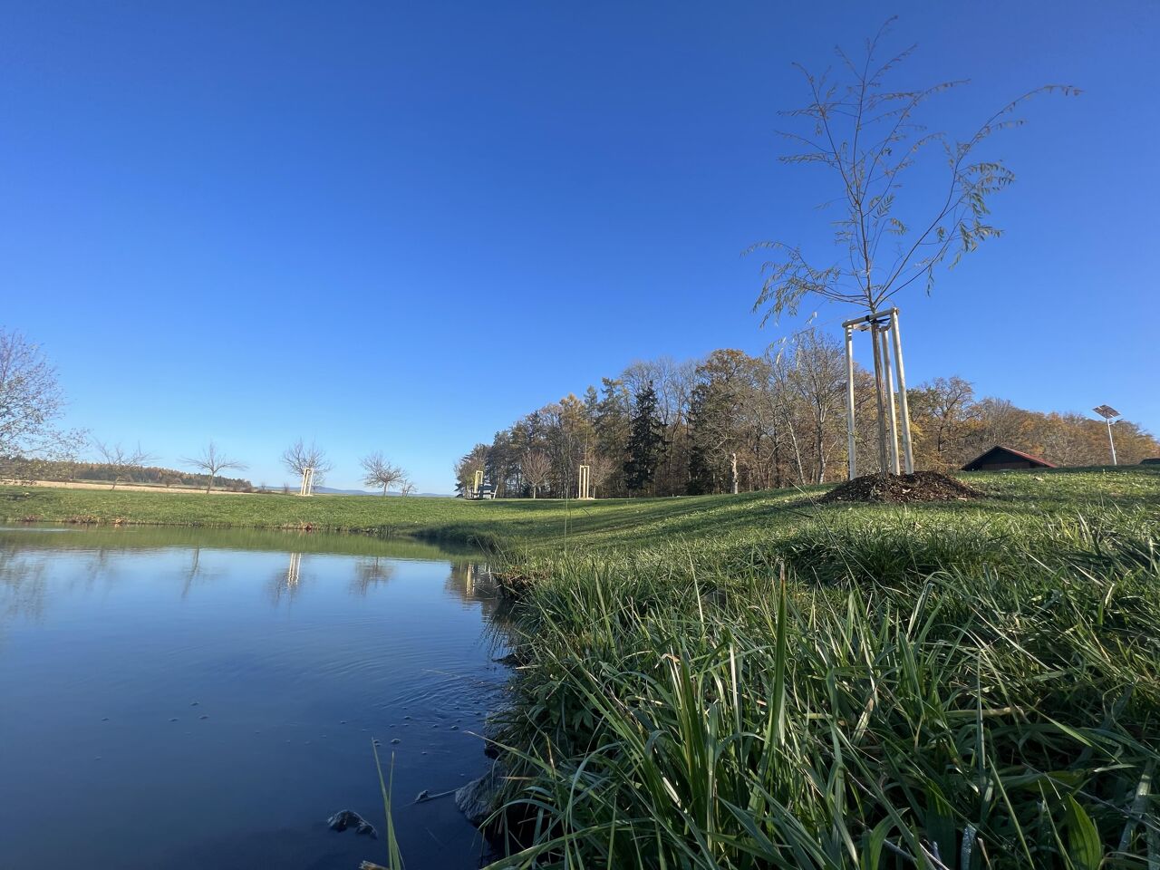 230522-international-biodiversity-day-2-717f4df3-jpg