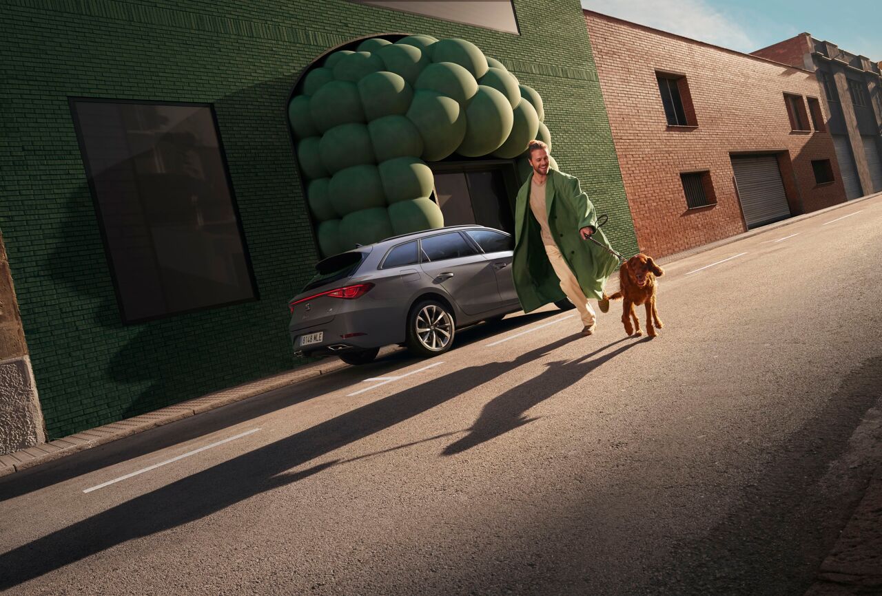 Web Ready JPG-LEON NF ST 298