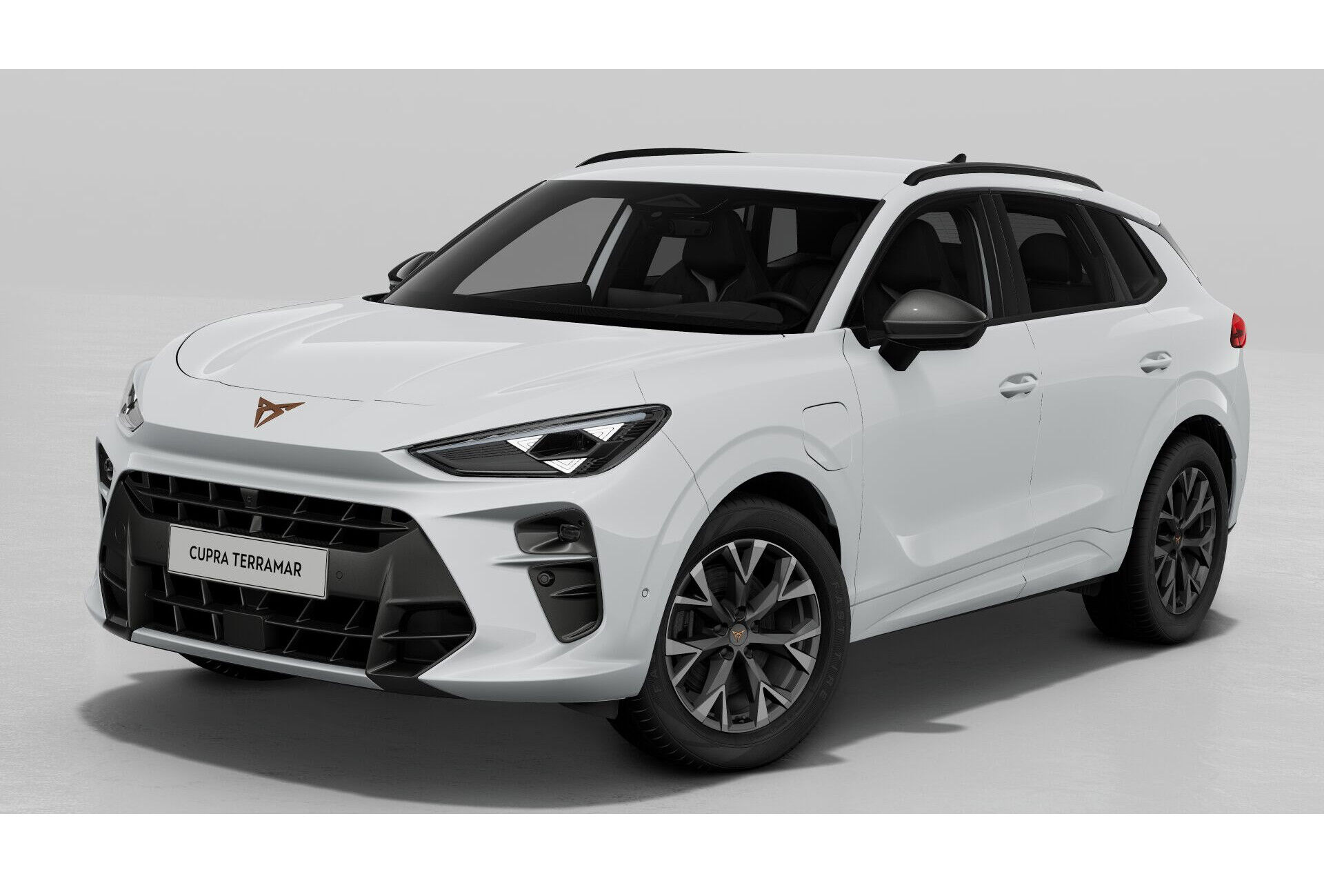 CUPRA Terramar 1.5 TSI e-Hybrid 204pk Business