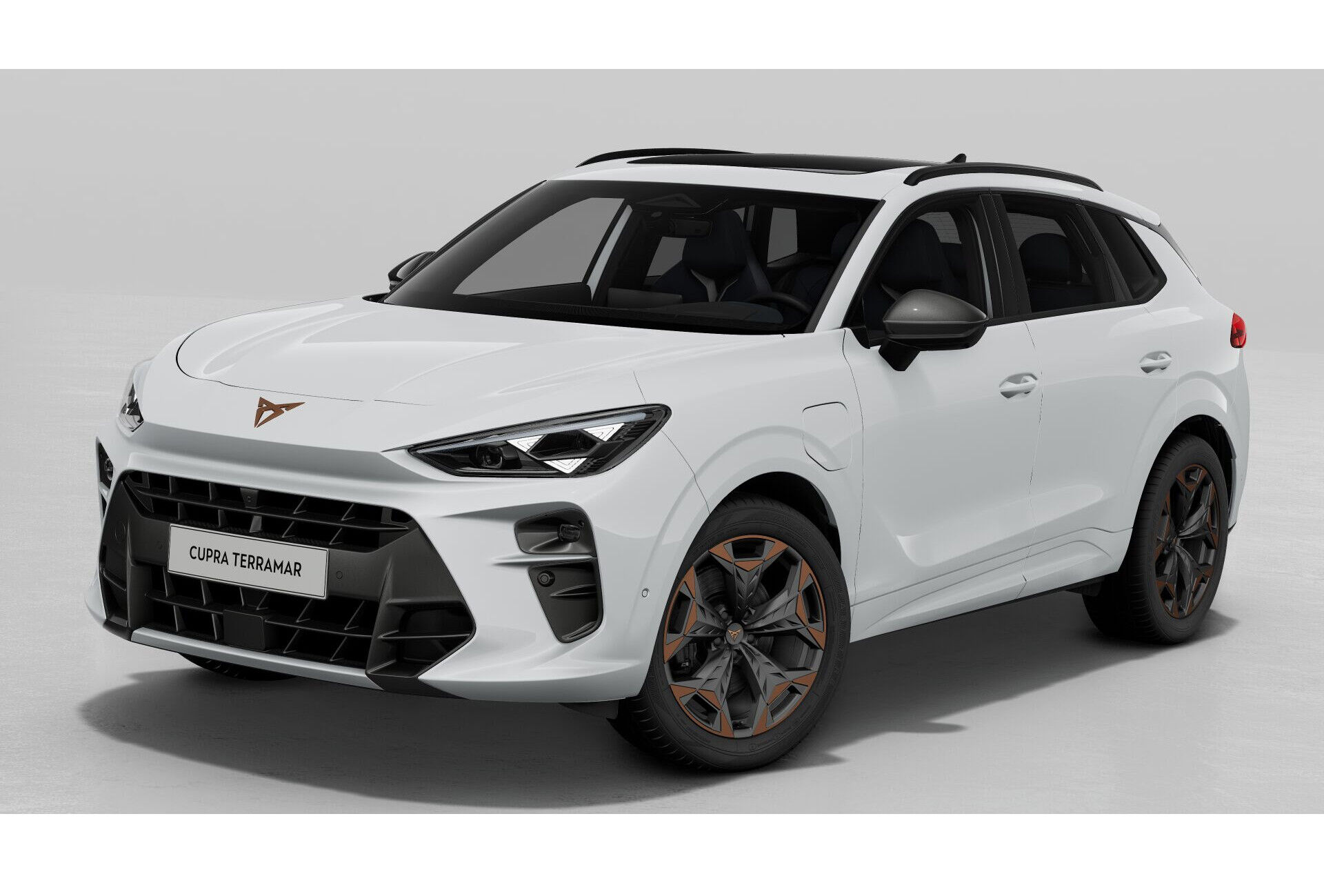 CUPRA Terramar 1.5 TSI e-Hybrid 272pk VZ Performance