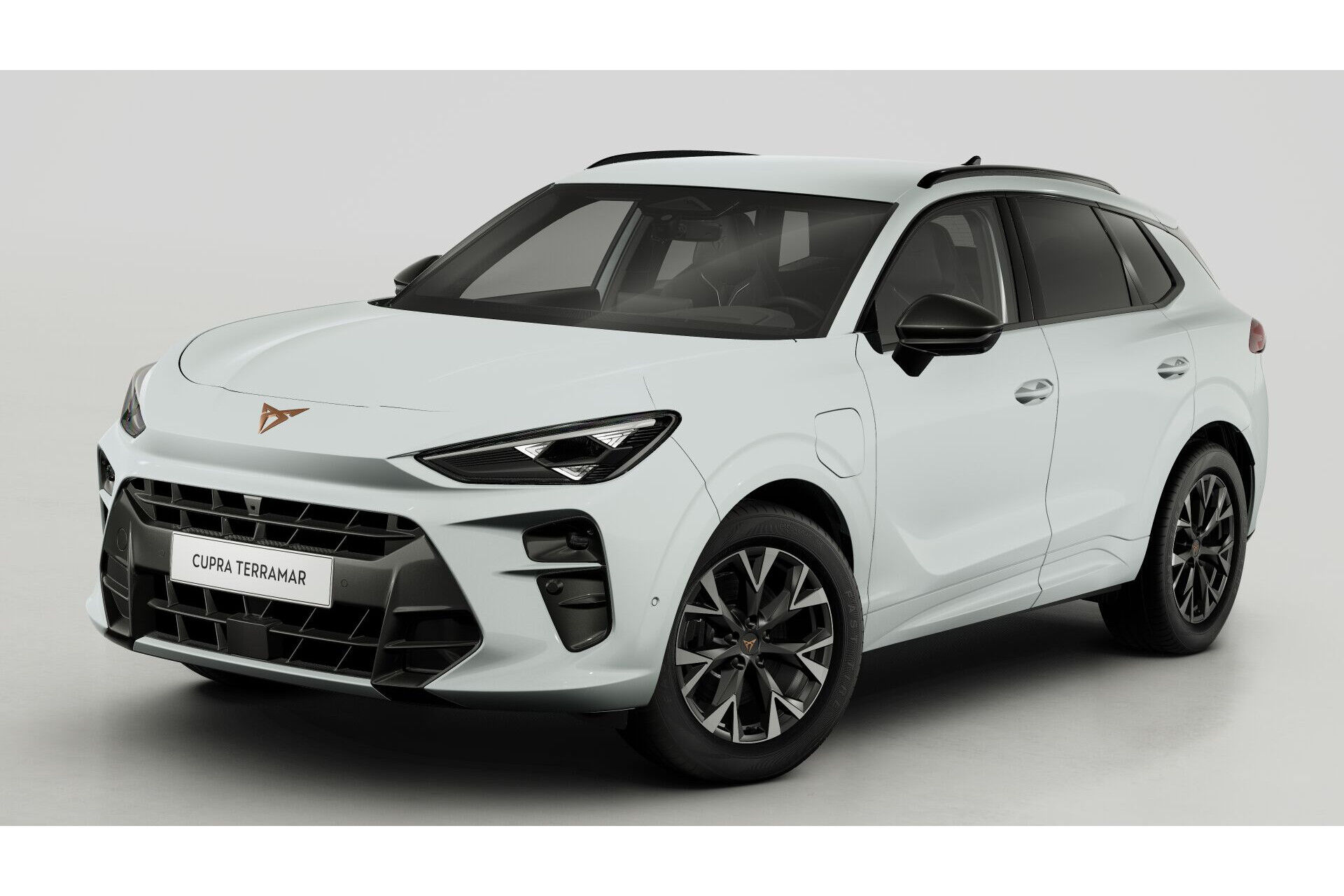 CUPRA Terramar 1.5 TSI e-Hybrid 204pk Business