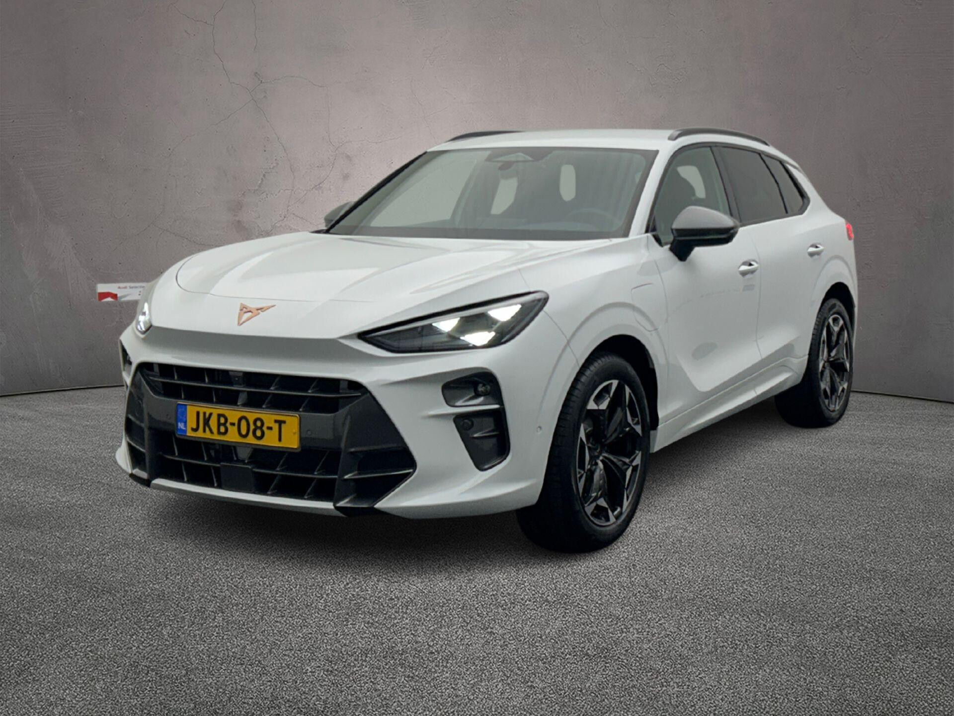 CUPRA Terramar Business