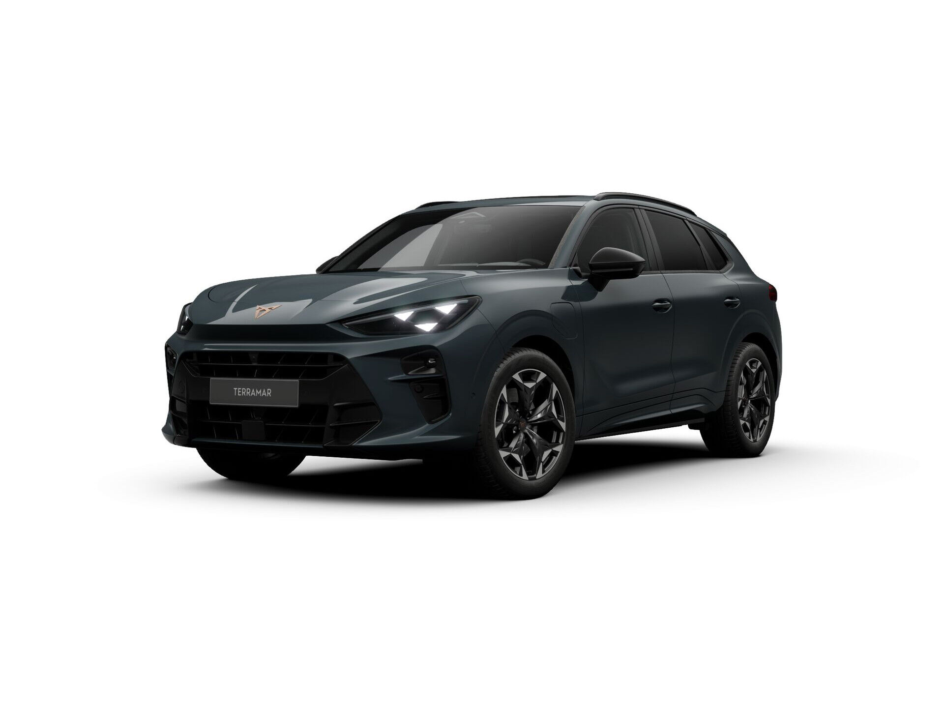 CUPRA Terramar 1.5 TSI e-Hybrid 272pk VZ Performance