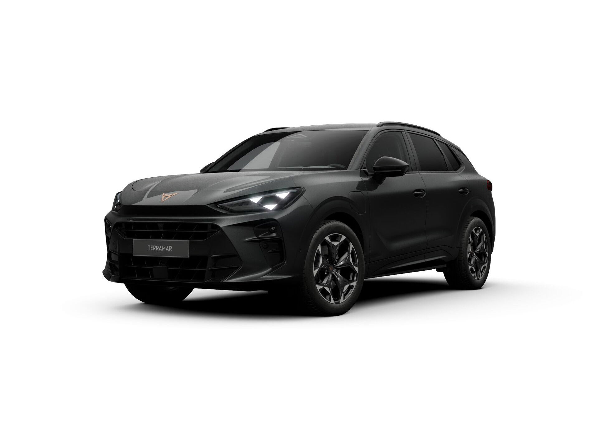 CUPRA Terramar 1.5 TSI e-Hybrid 272pk VZ Performance