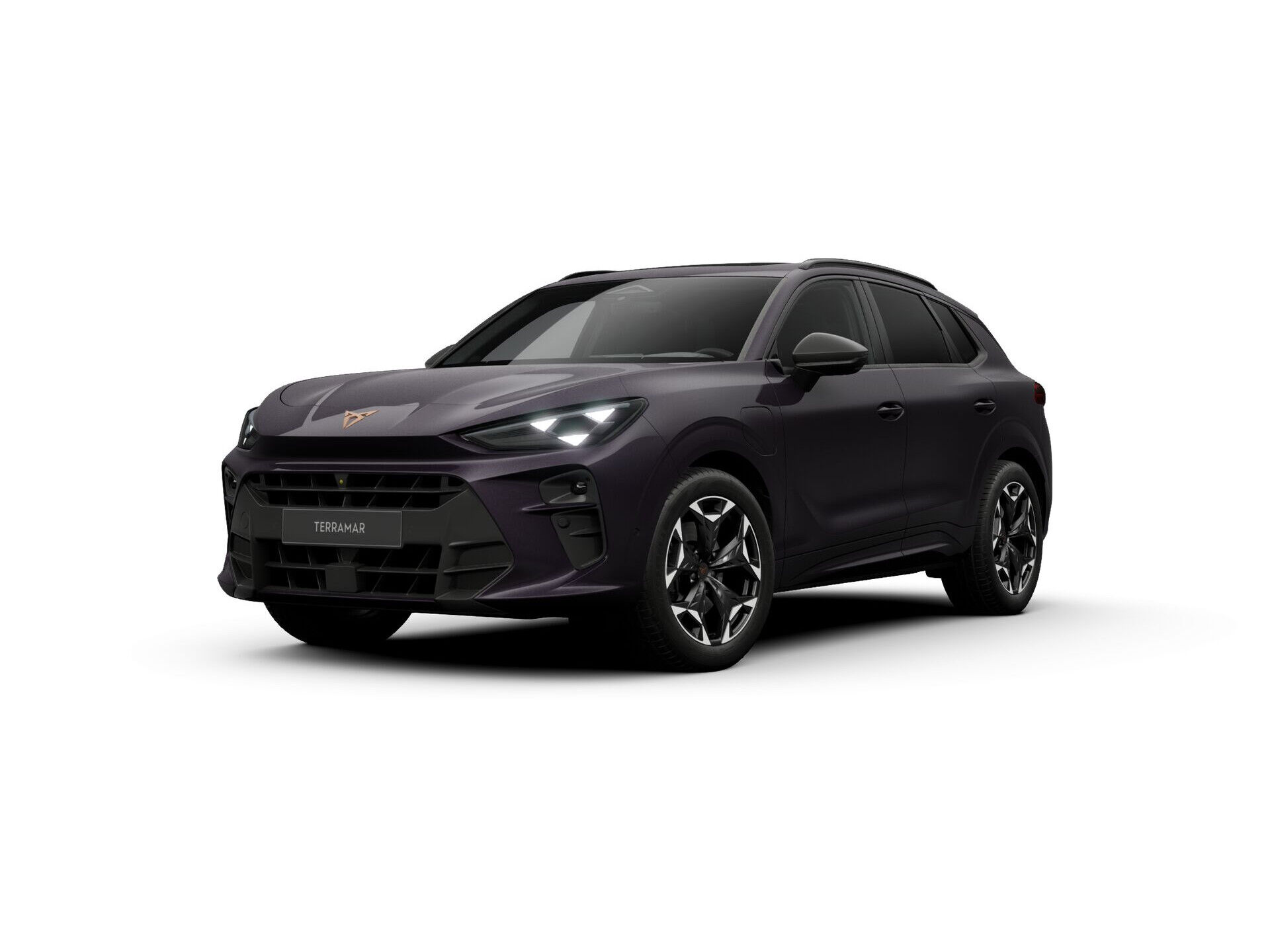 CUPRA Terramar 1.5 TSI e-Hybrid 272pk VZ Performance